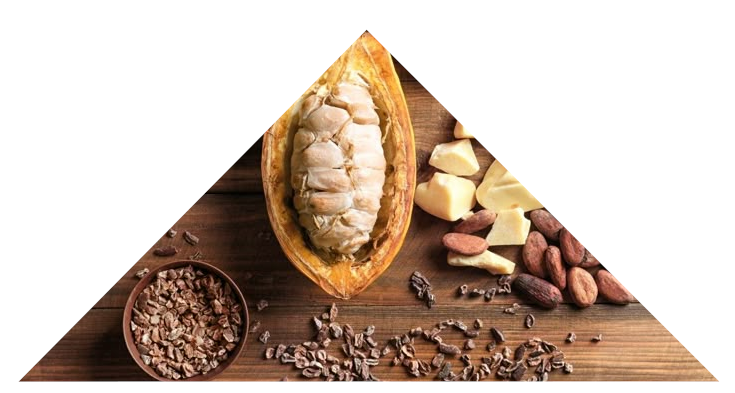 cocoa_55666